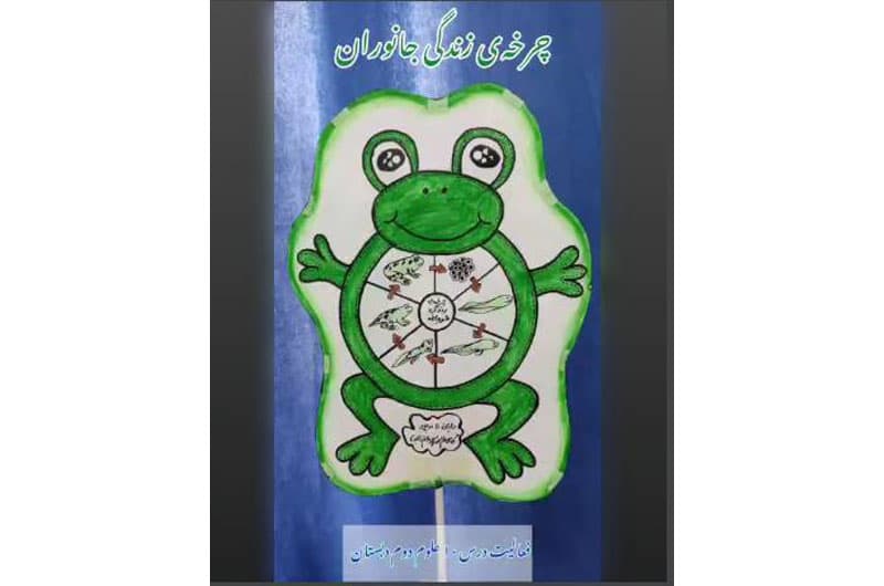 چرخه زندگی قورباغه